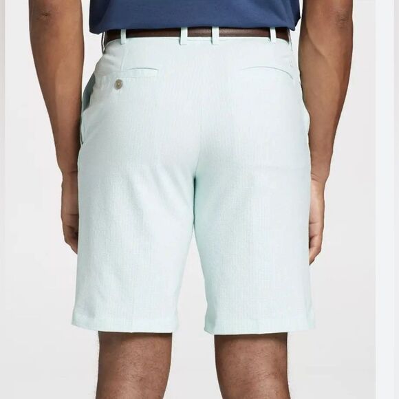 NWT Walter Hagen Men’s Perfect 11 Seersucker 10” Golf Shorts Green - Size 40 - Picture 2 of 8